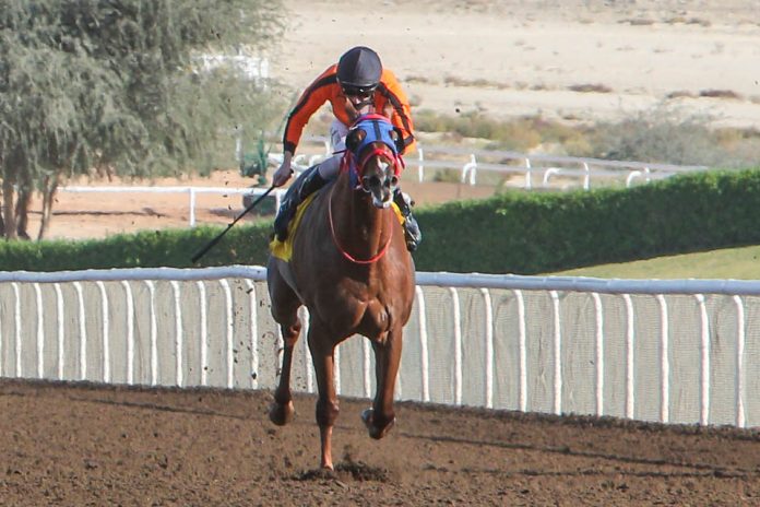 Alla Mahlak Foto: emiratesracing.com Alla Mahlak Foto: emiratesracing.com