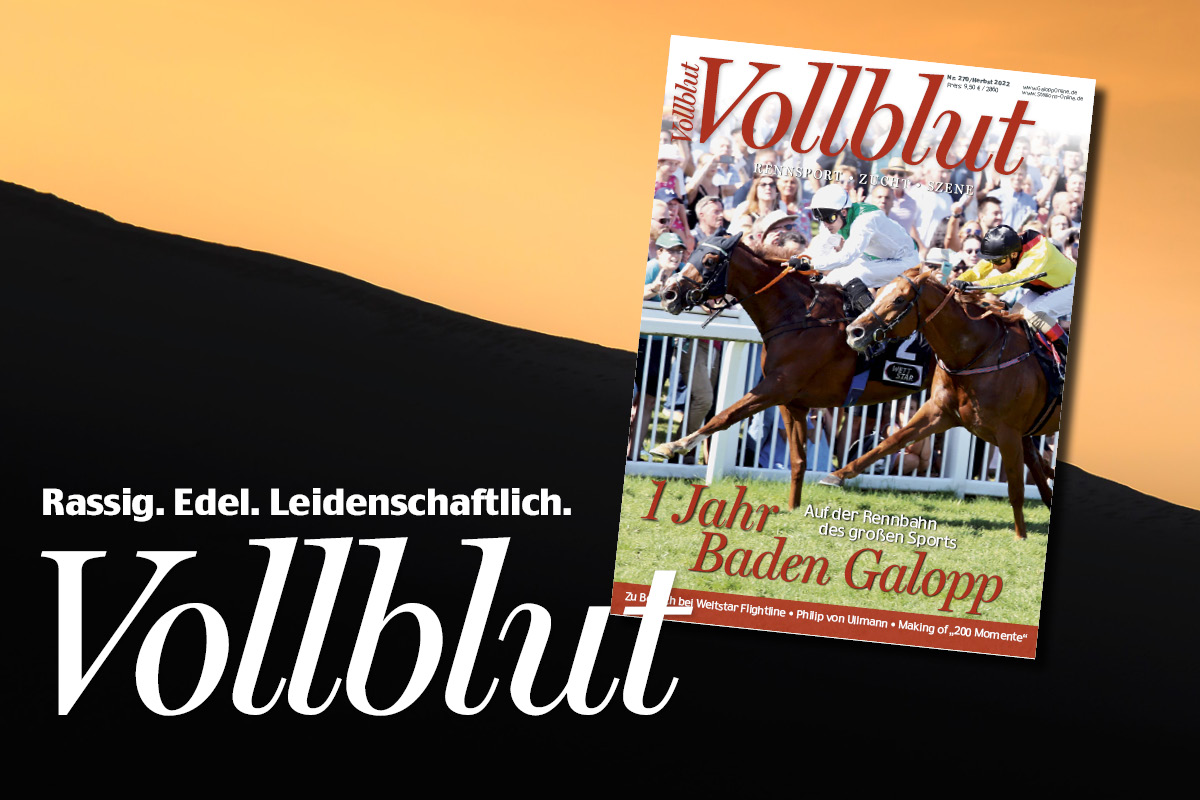 GOL-Shop_Vollblut_1200 px10