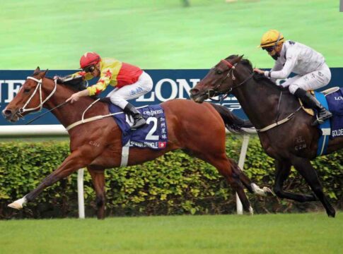 California Spangle beendet Karriere California Spangle (Archiv)