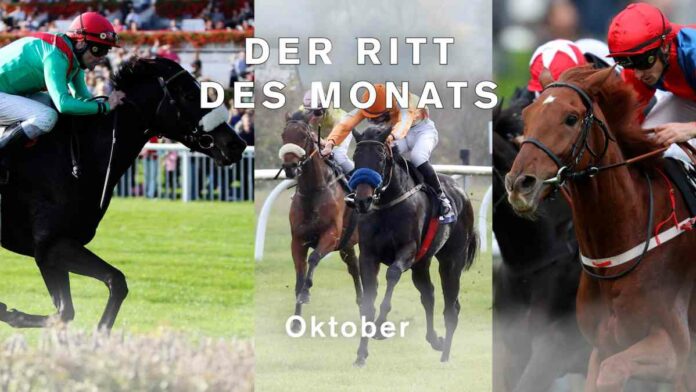 221106_ritt_des_monats_oktober-2022.00_03_50_13.standbild072