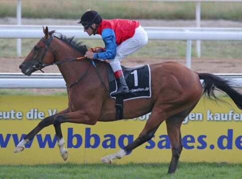 Ex-Deutscher Aemilianus in Katar mit Maxime Guyon Aemilianus in den Farben des Gestüts Schlenderhan