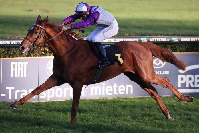 Alpenjäger Alpenjäger