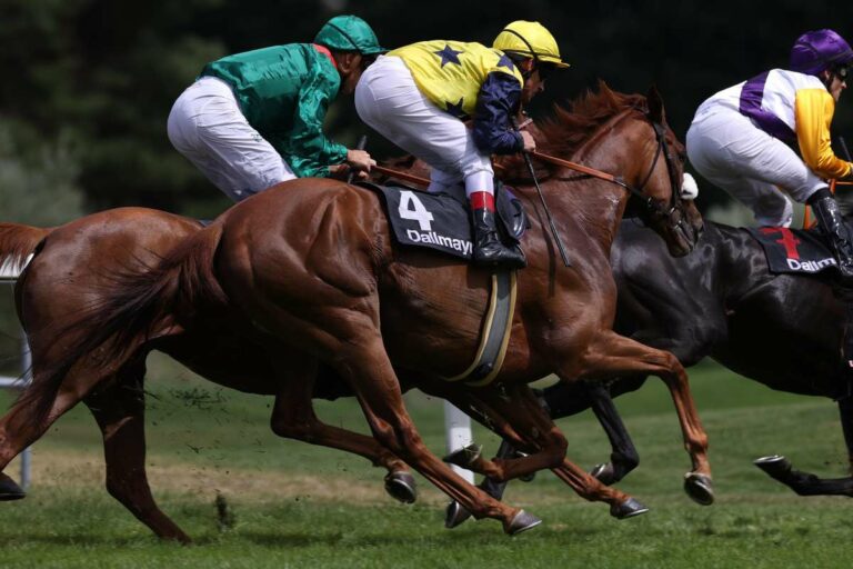 Amazing Grace Vierte bei Siskany Sieg