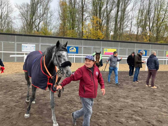 Aradous nach dem Sieg in Mons Foto: GG Aradous nach dem Sieg in Mons Foto: GG