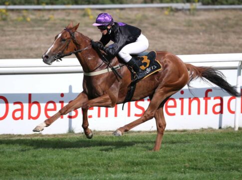 Cabot Cliffs und Mitchouka für Schweden-Highlights genannt Cabot Cliffs
