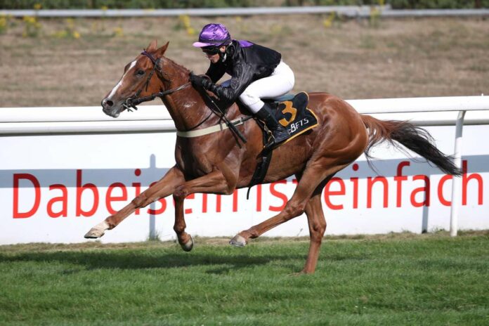 Cabot Cliffs Cabot Cliffs