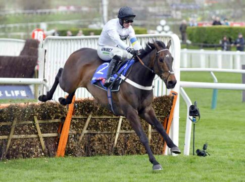 Dramatisches Champion Hurdle endet mit Sensation Constitution Hill (Archiv) Foto: Sorge