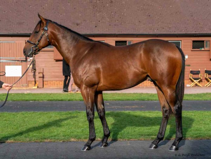 Sea The Moon ad Pearly Spirit (Foto: Tattersalls) Sea The Moon ad Pearly Spirit (Foto: Tattersalls)