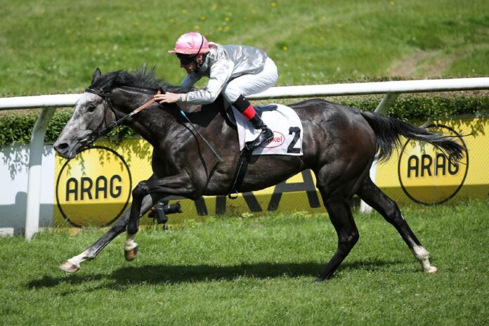 Enjoy The Dream Enjoy The Dream