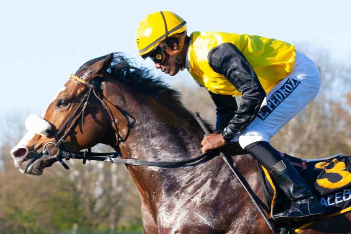 Estacas (Archiv) Foto: Nolting Estacas (Archiv) Foto: Nolting