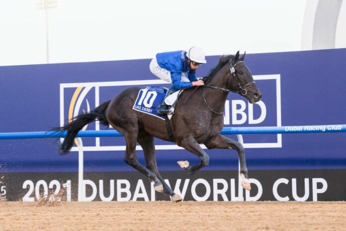 Rebel's Romance Foto: Dubai Racing Club Rebel's Romance Foto: Dubai Racing Club
