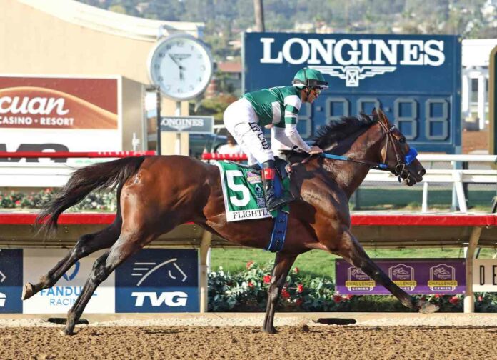 Flightline (Emily Shields)