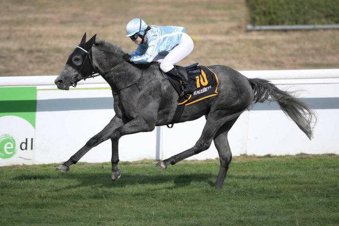 Freytag Freytag