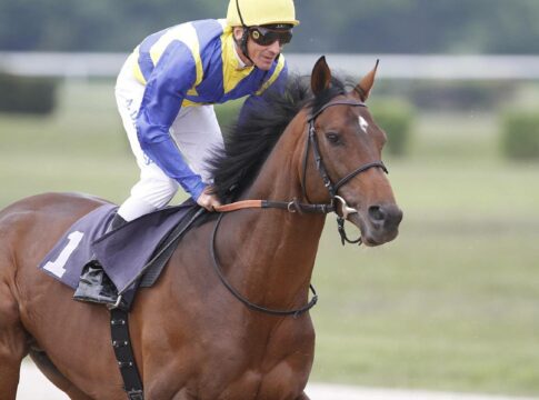 Getaway in den Ullmann-Farben