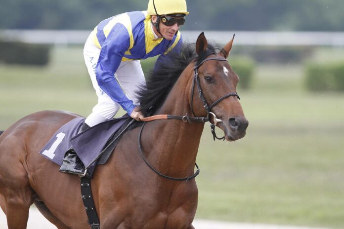 Getaway in den Ullmann-Farben Getaway in den Ullmann-Farben