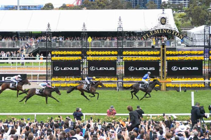 Gold Trip Foto: racingphotos.com Gold Trip Foto: racingphotos.com