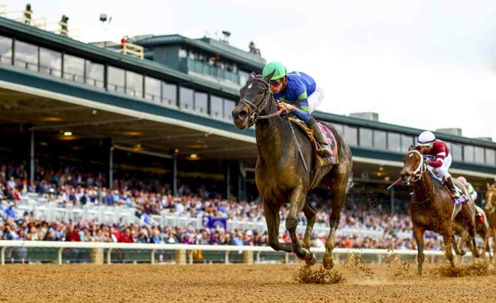 Goodnight Olive Foto: Evers/Eclipse Sportswire Goodnight Olive Foto: Evers/Eclipse Sportswire