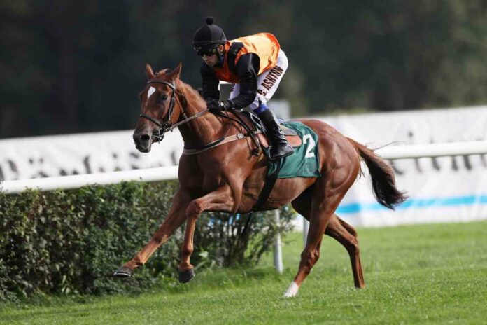 Lips Prince Lips Prince