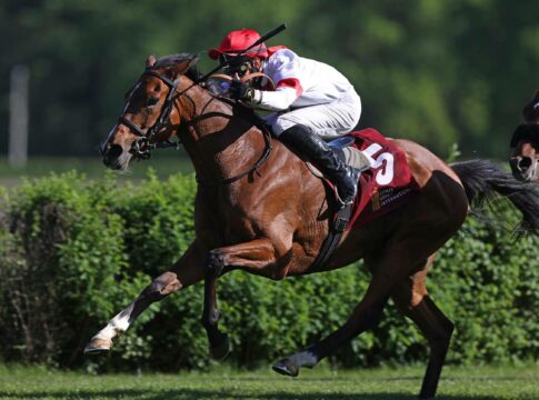 Flach oder Sprünge: Ex-Deutscher Loft für Start am Samstag vorgesehen loft_3