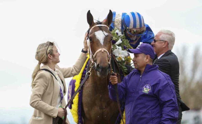 Malathaat Foto: Eclipse Sportswire