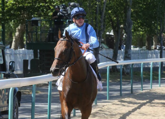 Namos nach dem Prix Maurice de Gheest