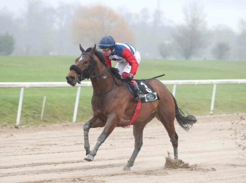 Am Samstag fünf neue Chancen auf ersten Auslandssieg 2025 No Day Never