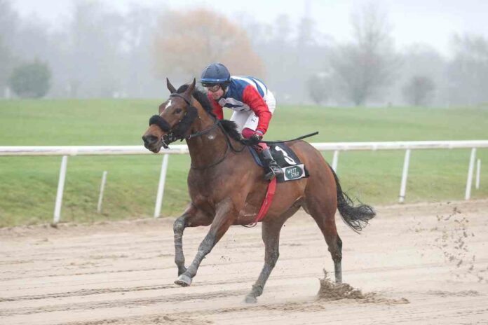 No Day Never No Day Never