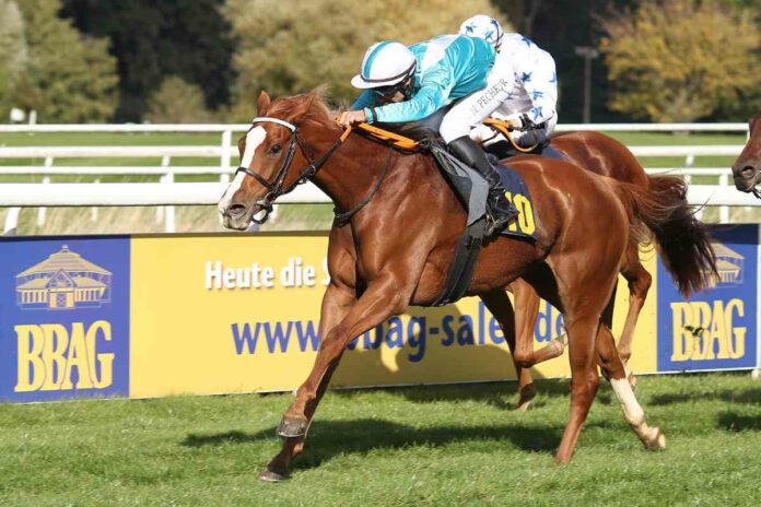 noblesse_oblige