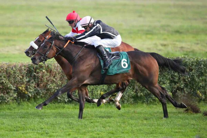 Petit Marin (Nr.6) gewinnt den Preis der Deutschen Einheit 2022 gegen India Petit Marin (Nr.6) gewinnt den Preis der Deutschen Einheit 2022 gegen India