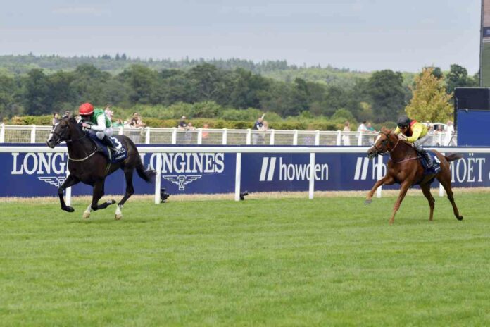 Pyledriver bei seinem Sieg in den King George VI Stakes gegen Torquator Tasso Foto: Sorge Pyledriver bei seinem Sieg in den King George VI Stakes gegen Torquator Tasso Foto: Sorge