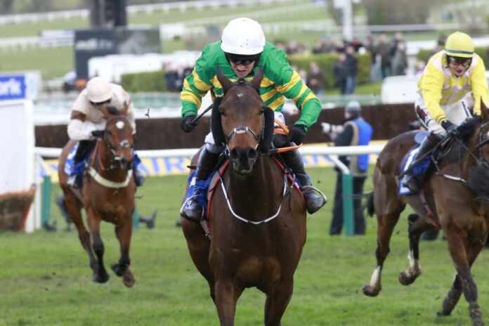 Sire Du Berlais (Archiv)