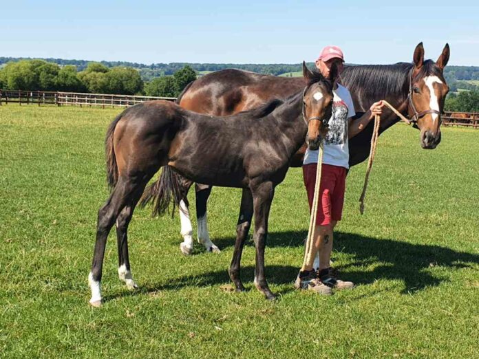 Son Macia mit Trust The Stars Foto: privat