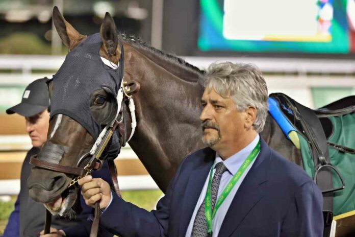 Steve Asmussen (Sorge)