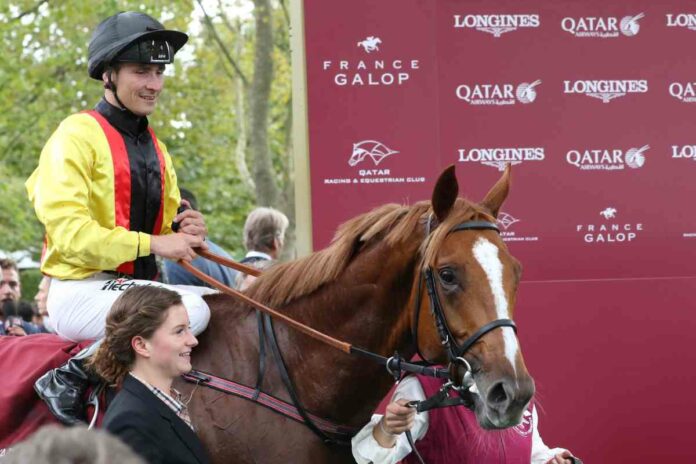torquator_arc