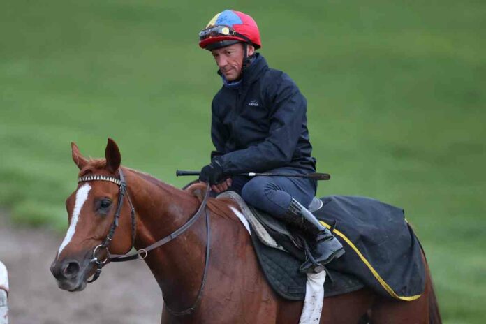 Nach der Morgenarbeit mit Frankie Dettori