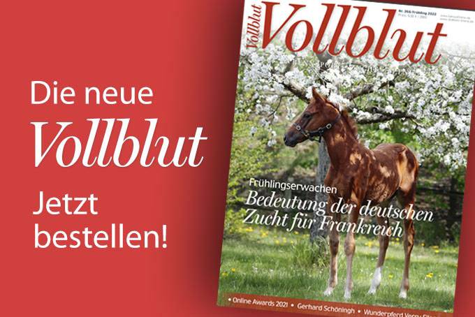 vollblut_268_gol