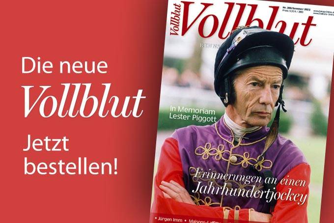vollblut_269_gol