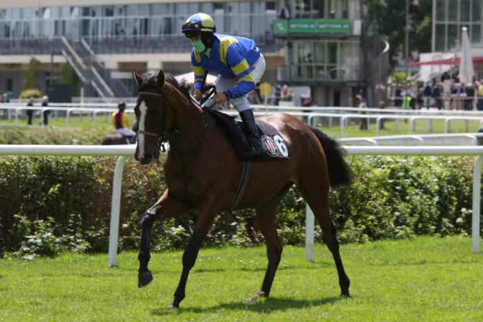Wishuponastar (Archiv)