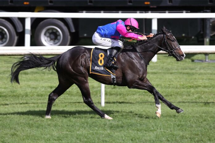 Woody Wood Woody Wood (Archiv)