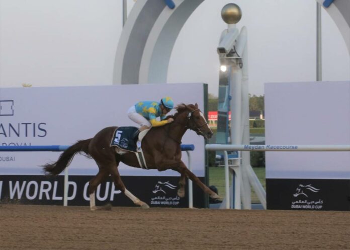 Derma Sotogake gewinnt das UAE Derby