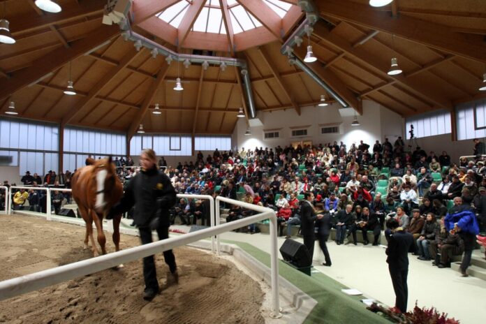 Blick in die Halle der BBAG Blick in die Halle der BBAG