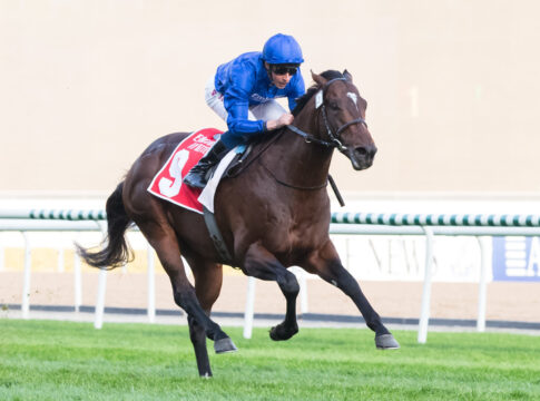 Zuchtrecht an Blue Point bringt 430.000 Euro Blue Point Foto: Dubai Racing Club
