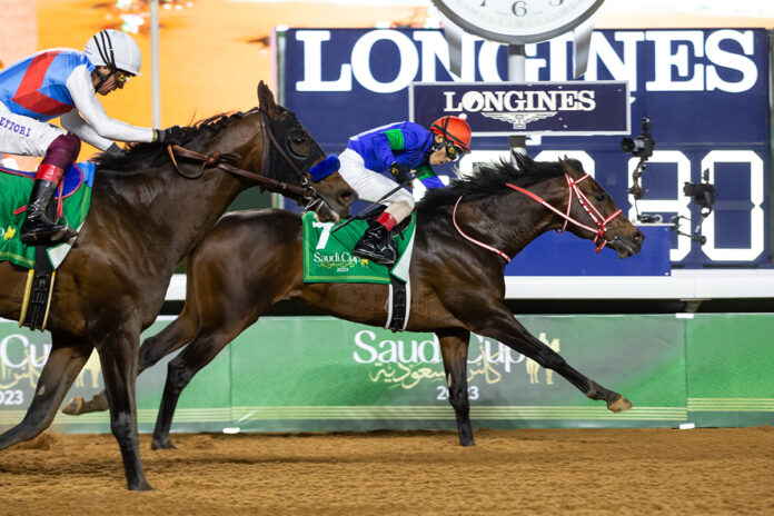 Panthalassa Foto: Jockey Club of Saudi Arabia/Erika Rasmussen Panthalassa Foto: Jockey Club of Saudi Arabia/Erika Rasmussen