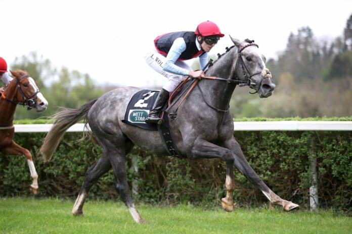 Someone You Loved siegt unter Leon Wolff