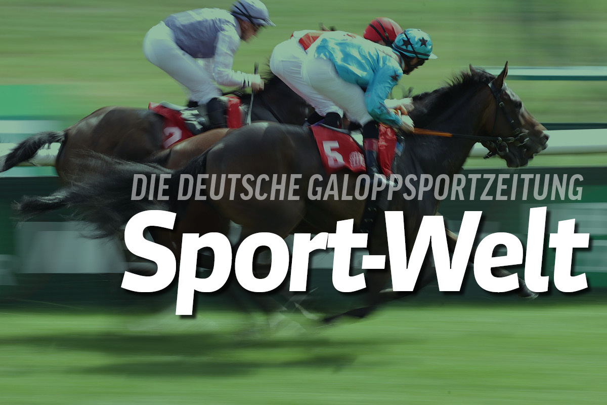 Die nächste Sport-Welt – Baum und Baumgarten Interview