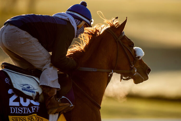Swiss Skydiver Foto: Eclipse Sportswire Swiss Skydiver Foto: Eclipse Sportswire