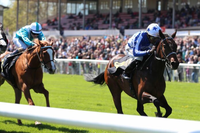 View Zabeel siegt unter Eduardo Pedroza View Zabeel