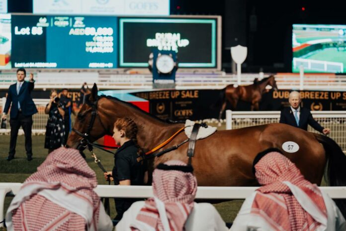 Die Dubai Sale in Meydan Foto: dubairacingclub.com