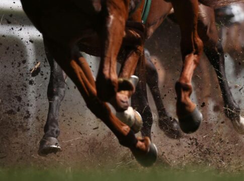 Was macht die australische Royal Ascot-Siegerin Asfoora?