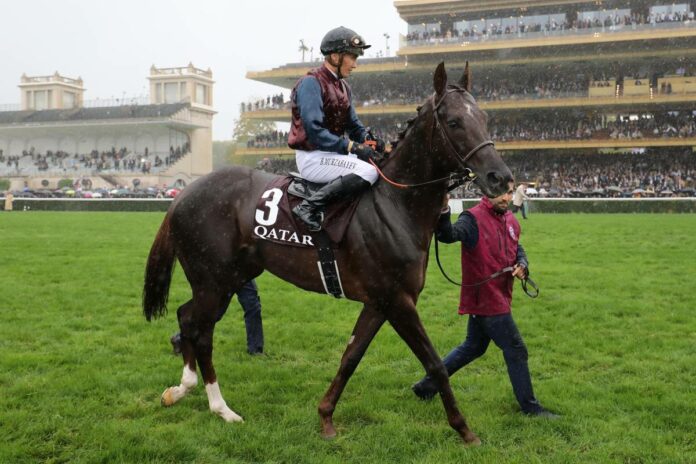 Mare Australis Mare Australis